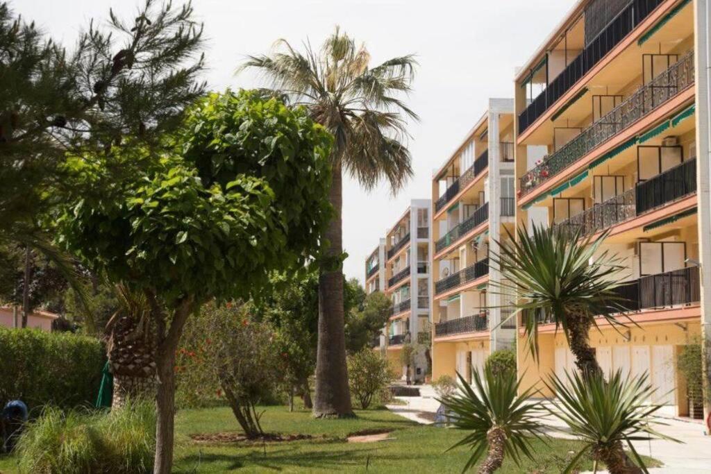 Appartement Apartamento En Primera Linea De Playa